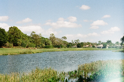 97色伦在线 97色伦在线