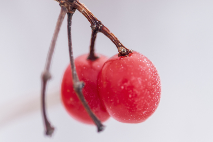 如何在国内安全访问P站的详细指南 如何在国内安全访问P站的详细指南