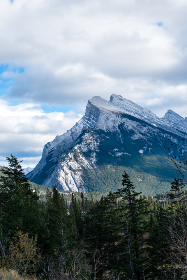 如何安全高效地使用BT种子磁力下载资源 如何安全高效地使用BT种子磁力下载资源