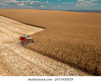 如何在国外下载FYPPT资源的详细指南 如何在国外下载FYPPT资源的详细指南